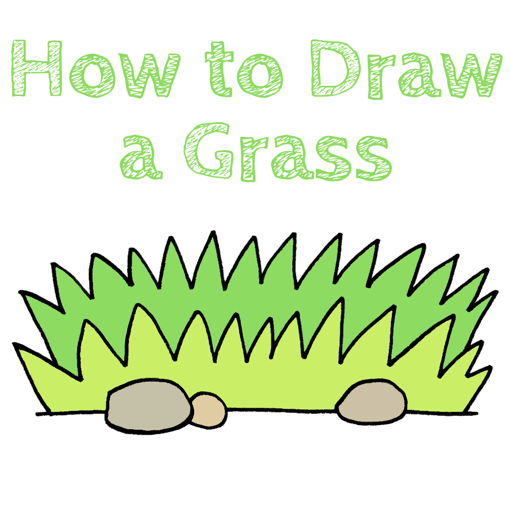 How to Draw a Grass for Kids