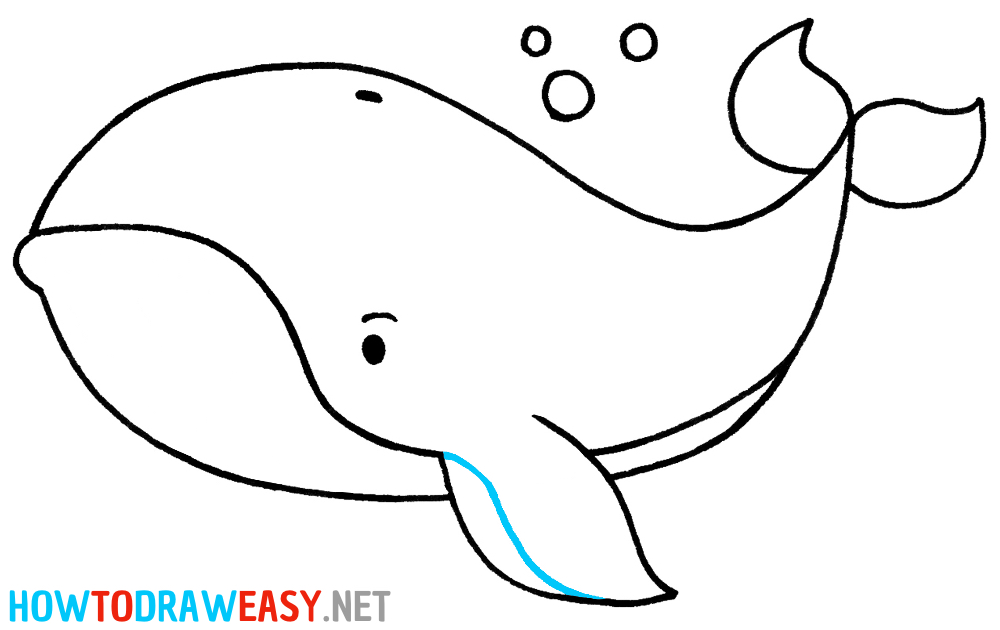 How to Draw an Easy Whale