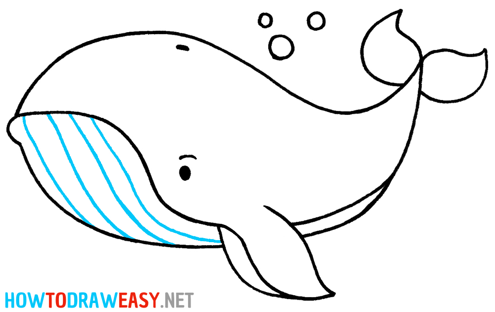 Step by Step Whale Drawing