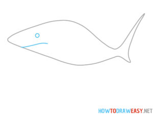How to Draw Tralalero Tralala - How to Draw Easy