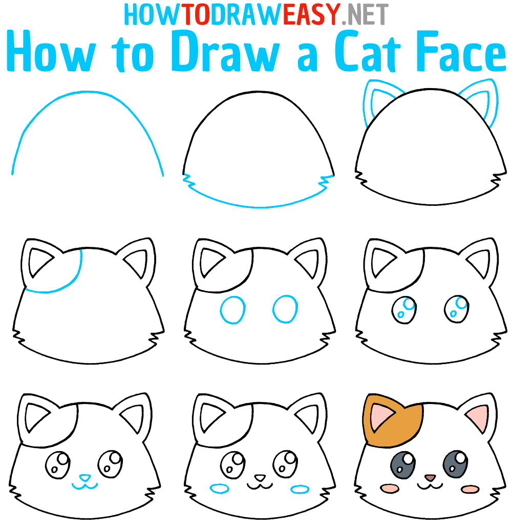 How to Draw a Cat Face Step by Step