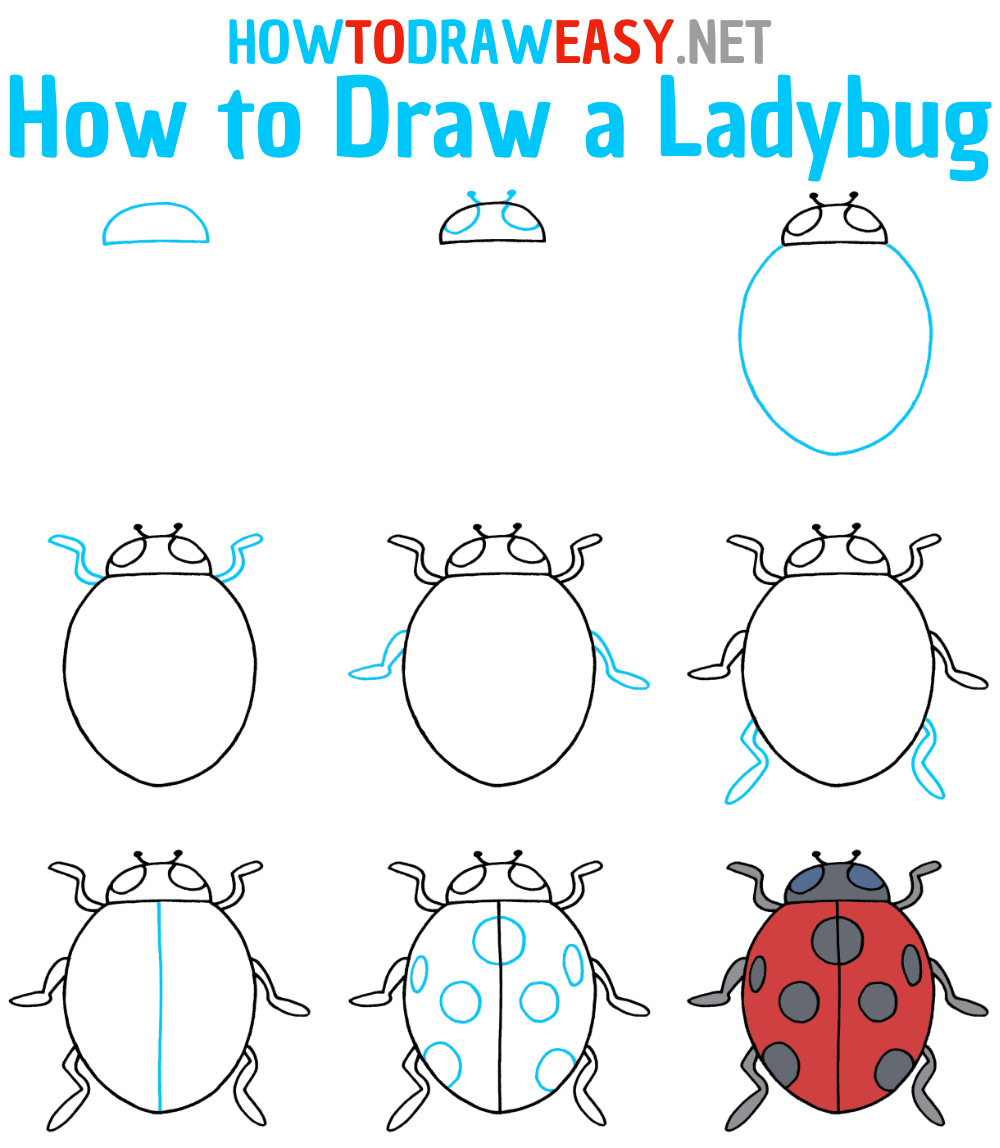 Ladybug Drawing Tutorial Step by Step