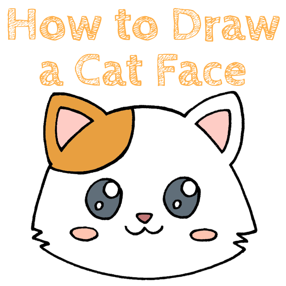 Cat Face Drawing Tutorial