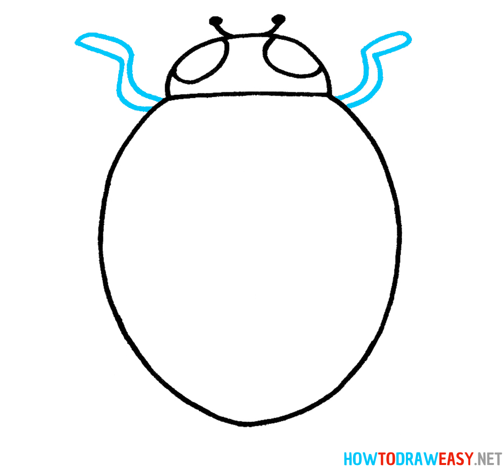 Ladybug Drawing Fourth Step