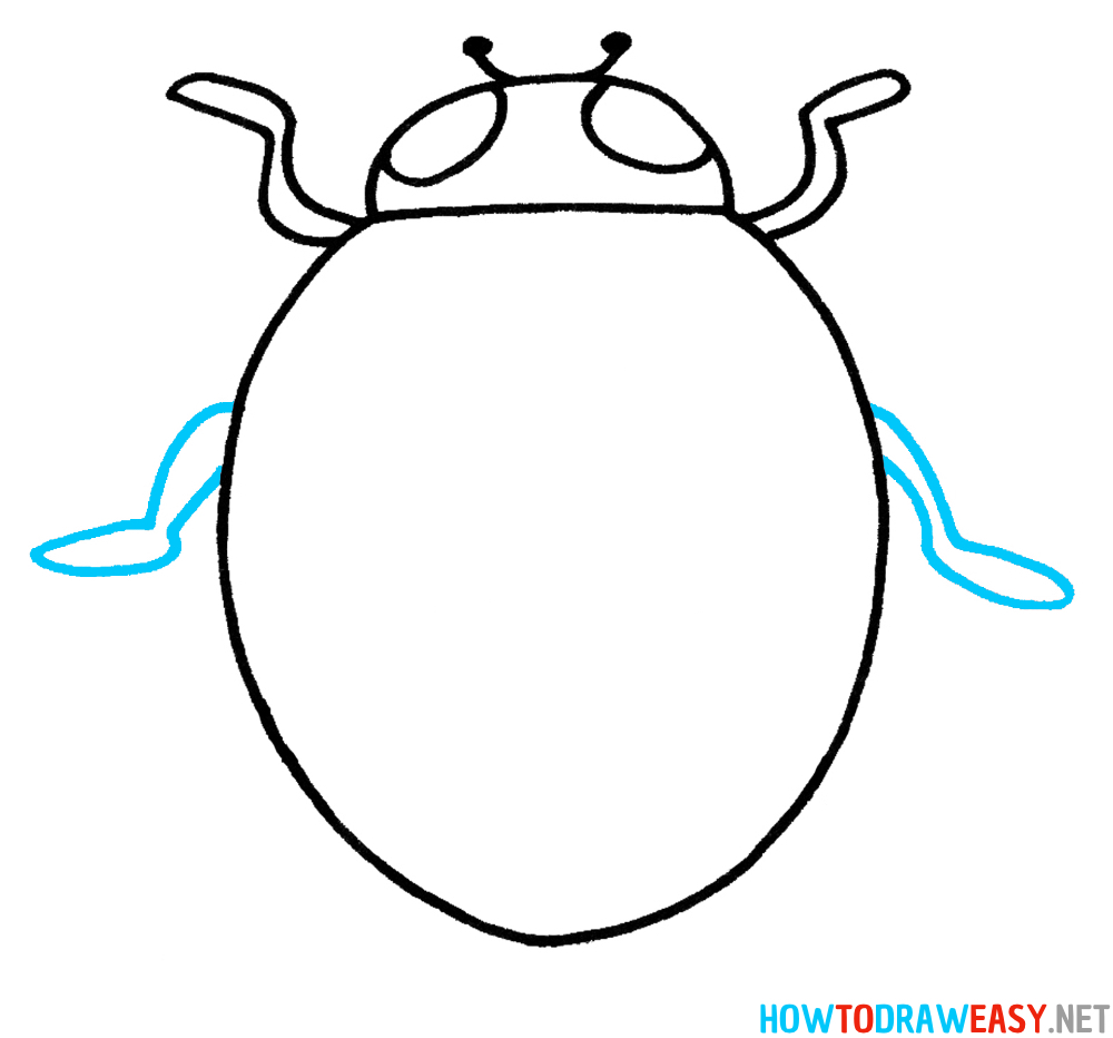 Ladybug Drawing Fifth Step