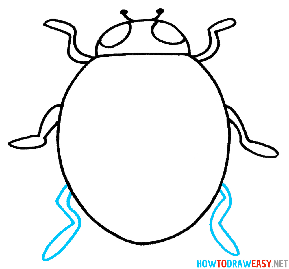 Ladybug Drawing Sixth Step