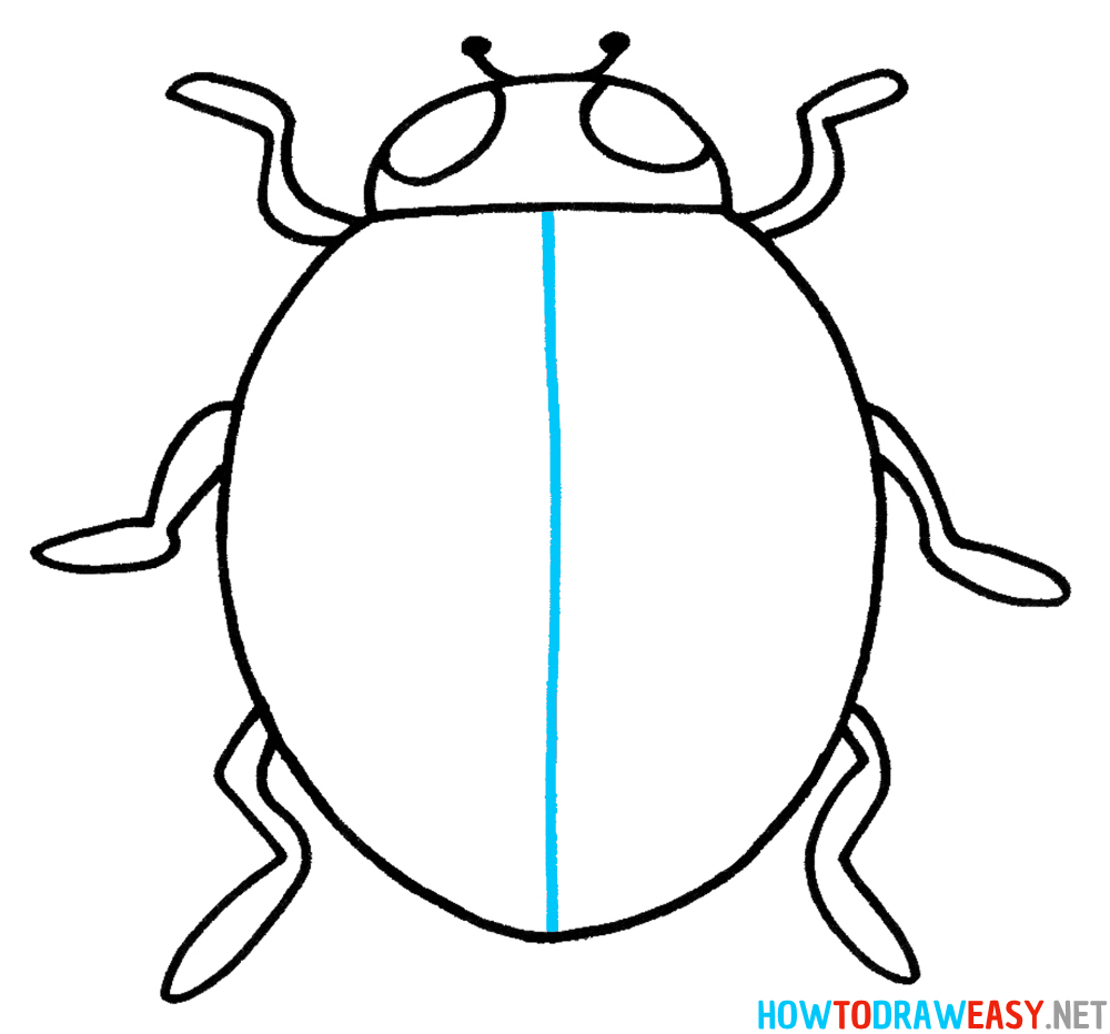Ladybug Drawing Seventh Step