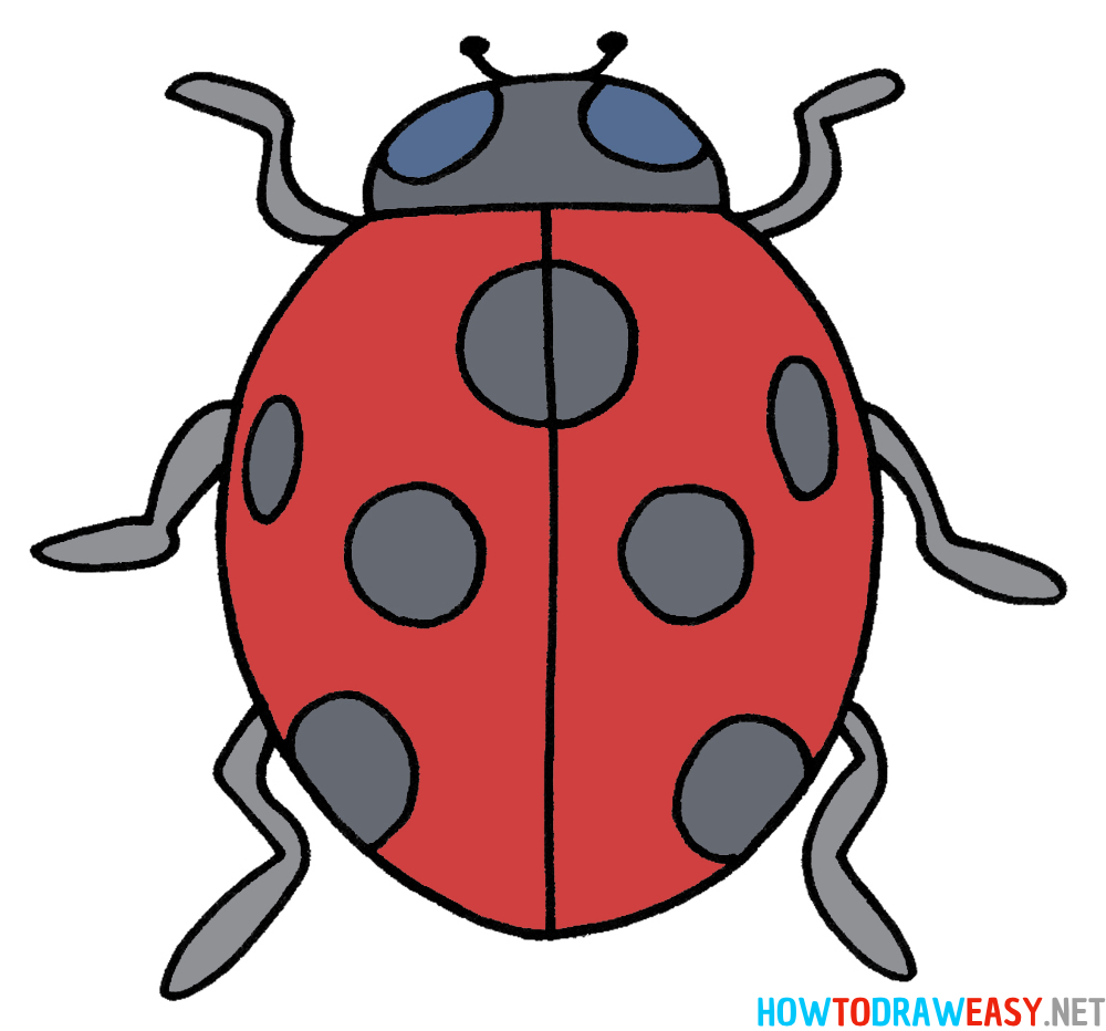 Ladybug Drawing Ninth Step