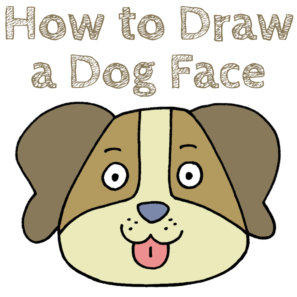Dog Face Drawing Guide