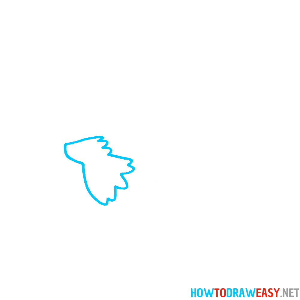 Eagle Drawing First Step