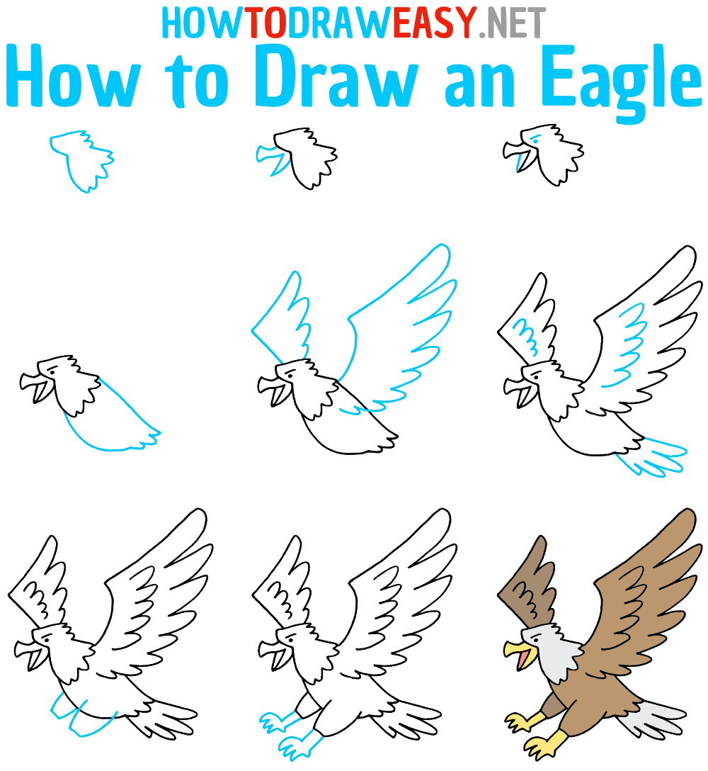 Step by Step Eagle Drawing Tutorial