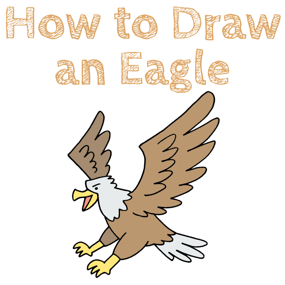Eagle Drawing Tutorial Easy
