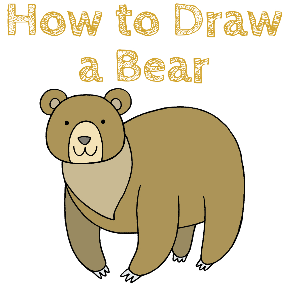 Bear Drawing Guide