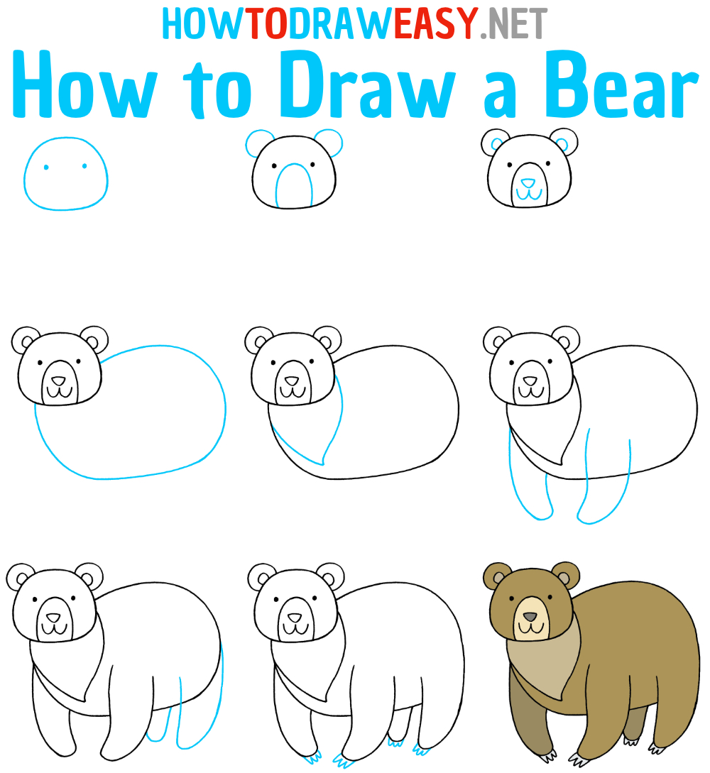 How to Sketch a Bear Step by Step