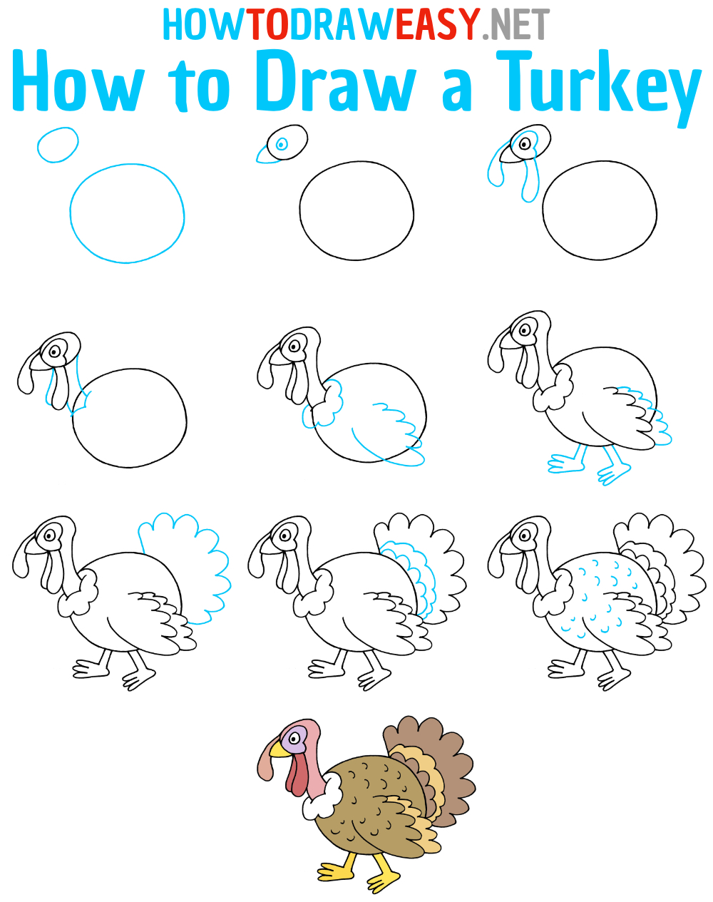 Turkey Drawing Guide