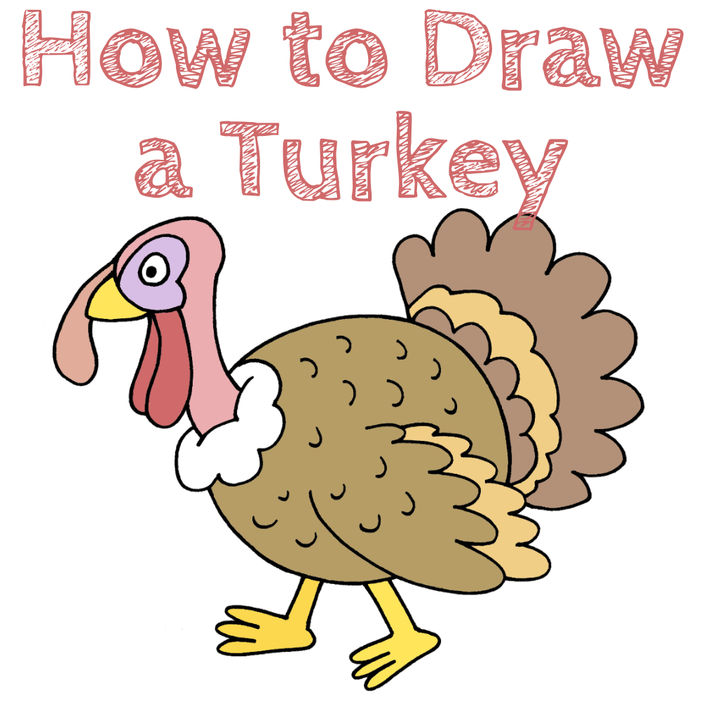 Turkey Drawing Tutorial Step by Step